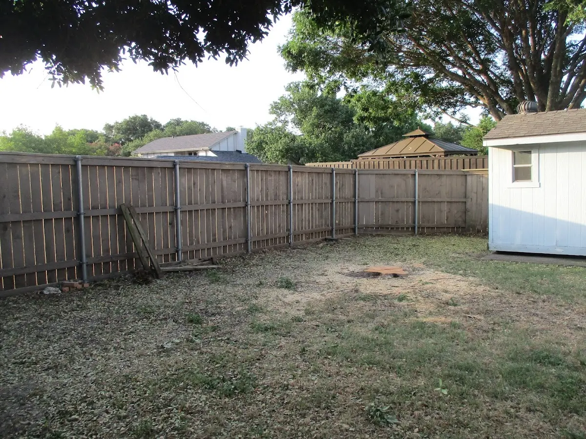 Cleared yard after professional tree removal in Makaweli